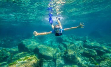 Molokini and Turtle Arches Snorkeling Trip